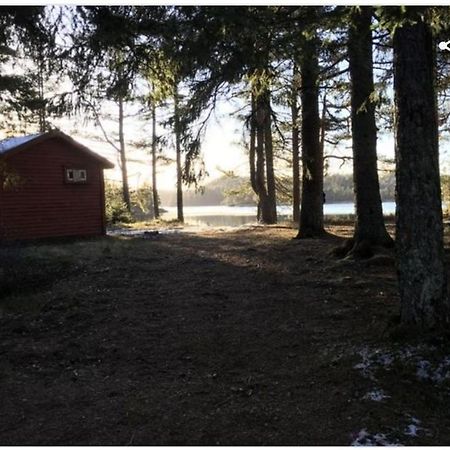 Cabin In The Woods, Lolandsvannet Near Kristiansand 维尼斯拉 外观 照片