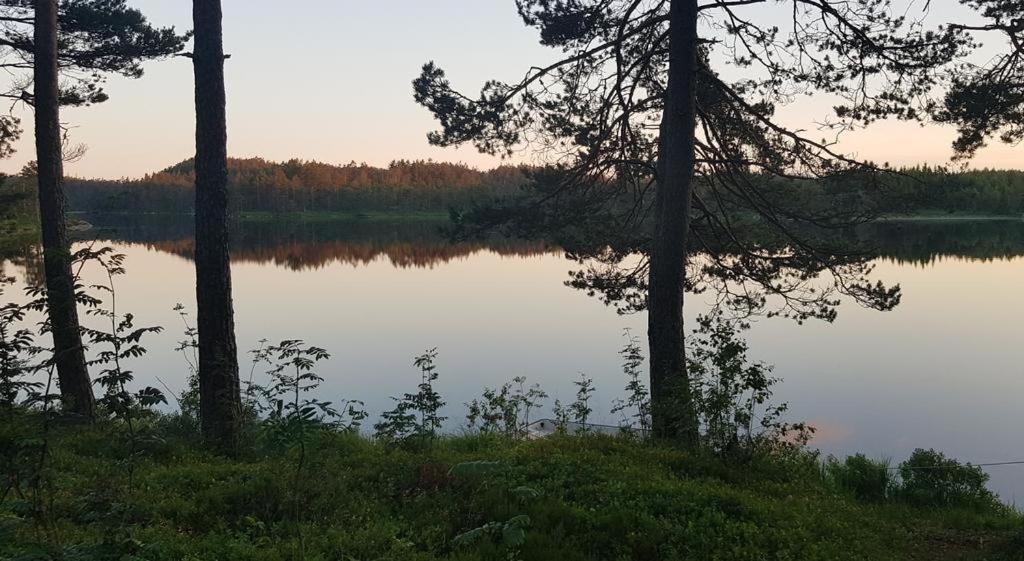 Cabin In The Woods, Lolandsvannet Near Kristiansand 维尼斯拉 外观 照片