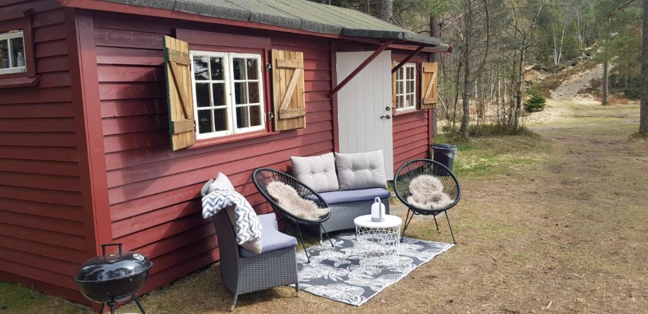 Cabin In The Woods, Lolandsvannet Near Kristiansand 维尼斯拉 外观 照片