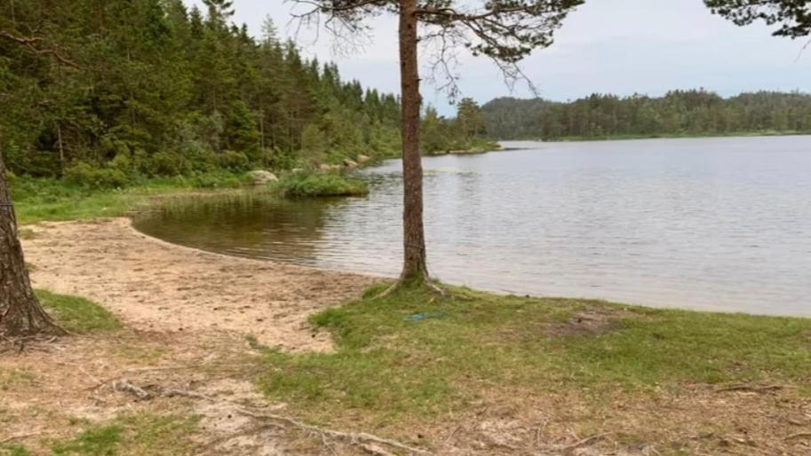 Cabin In The Woods, Lolandsvannet Near Kristiansand 维尼斯拉 外观 照片