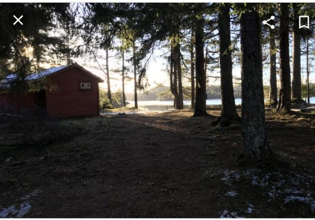 Cabin In The Woods, Lolandsvannet Near Kristiansand 维尼斯拉 外观 照片